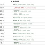 Biggest Bitcoin whale accumulates more than BRL 450 million since the beginning of May